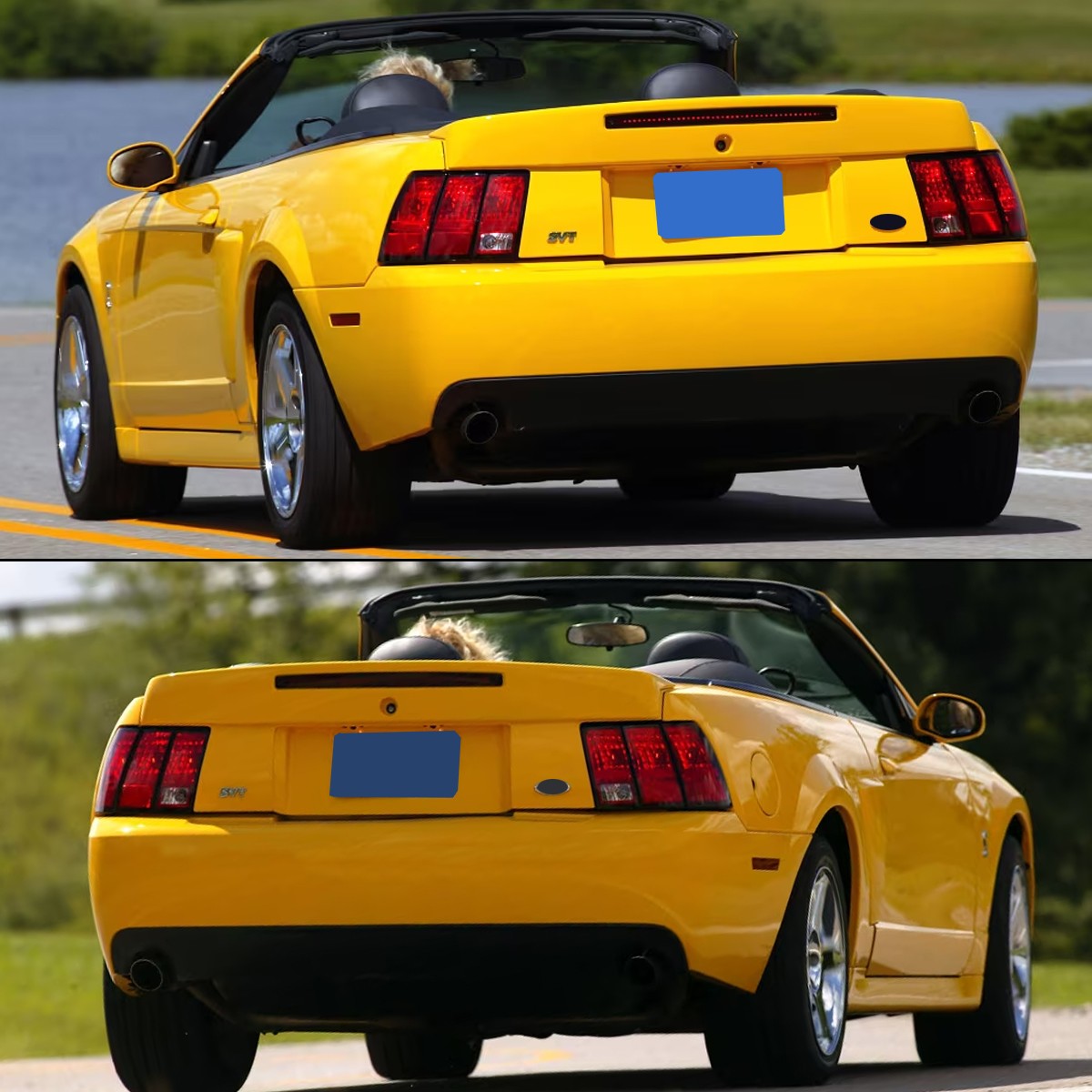 สำหรับฟอร์ด มัสแตง โคบร้า เอสว - Model Kit Mustang บทวิจารณ์และราคา